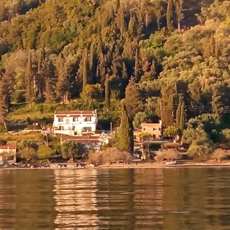 Aliki Studios Μπούκαρι Εξωτερικό φωτογραφία