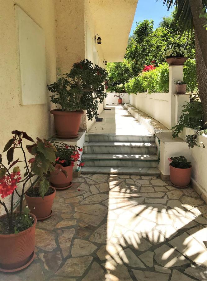 Aliki Studios Μπούκαρι Εξωτερικό φωτογραφία