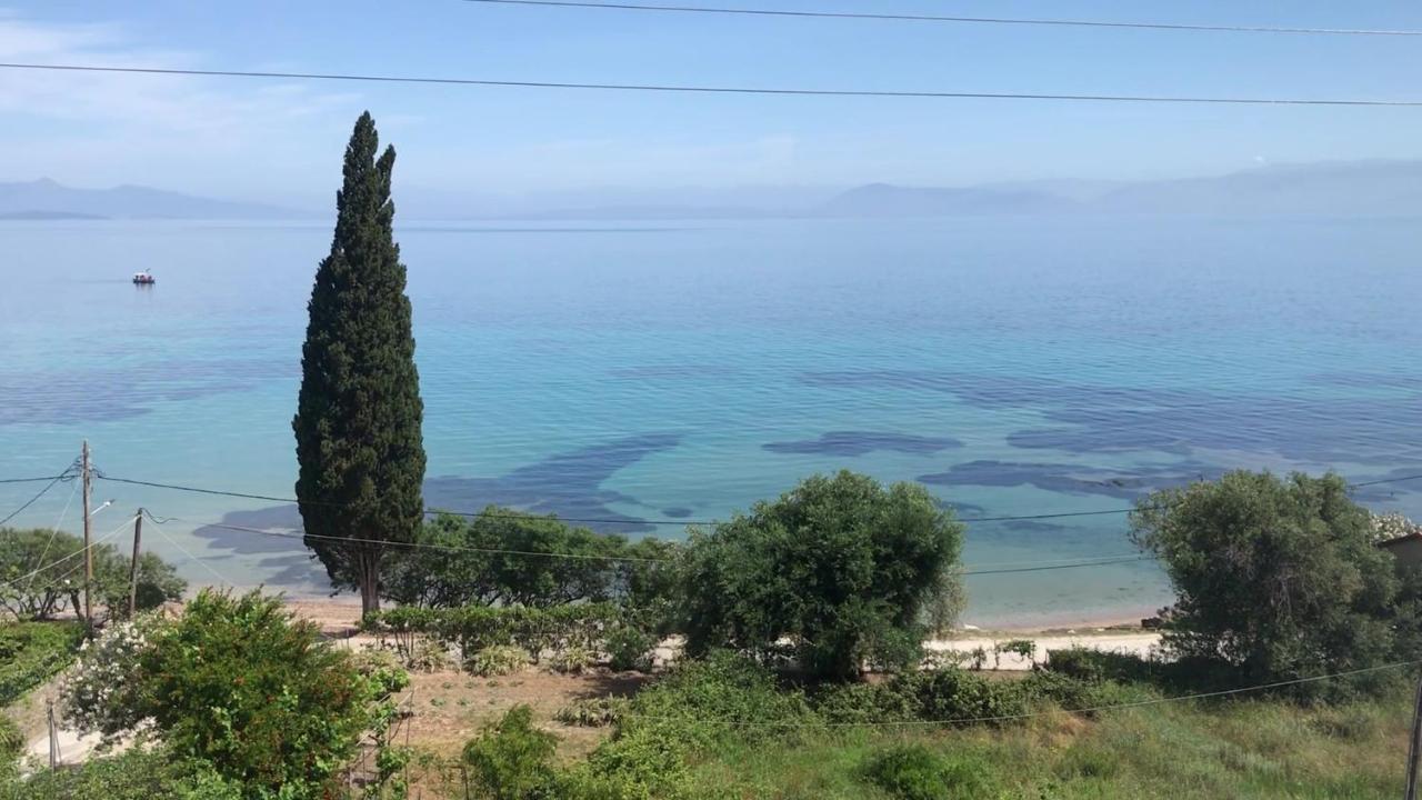 Aliki Studios Μπούκαρι Εξωτερικό φωτογραφία