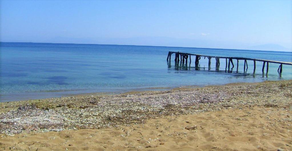 Aliki Studios Μπούκαρι Εξωτερικό φωτογραφία