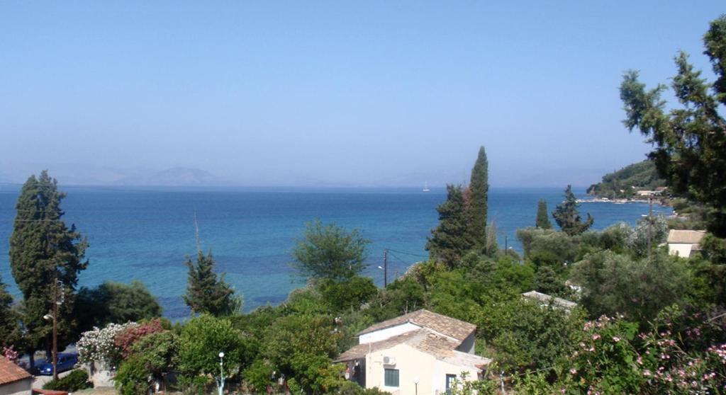 Aliki Studios Μπούκαρι Εξωτερικό φωτογραφία